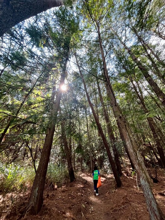 1150226 馬武霸淨山